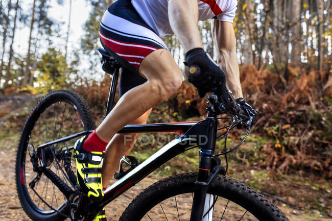 Mountain biker driving in the forest, close-up — Stock Photo