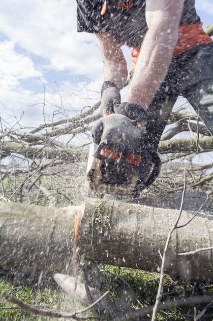 Lumberjack sawing tree trunk closeup view — Stock Photo
