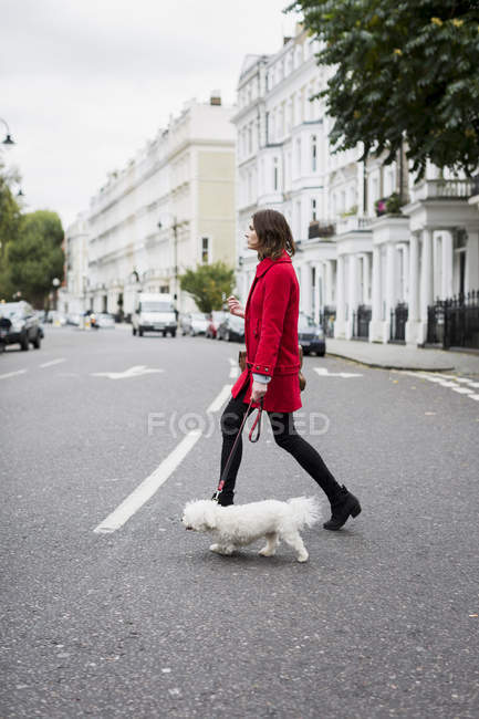 UK, London, young woman wearing red jacket crossing the street with her dog  — animal, outdoors - Stock Photo | #178156326