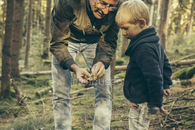 Mature man collecting bay bolete mushrooms with little boy — Stock Photo