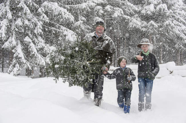 Áustria, Altenmarkt-Zauchensee, pai com dois filhos carregando árvore de Natal na paisagem de inverno — Fotografia de Stock