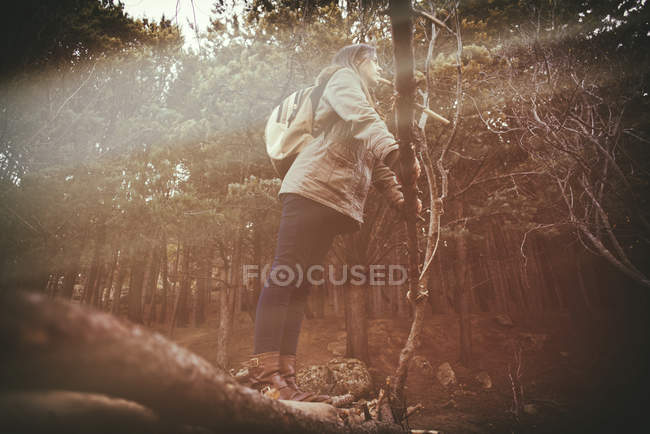 Giovane donna in piedi su un ponte di legno — Foto stock