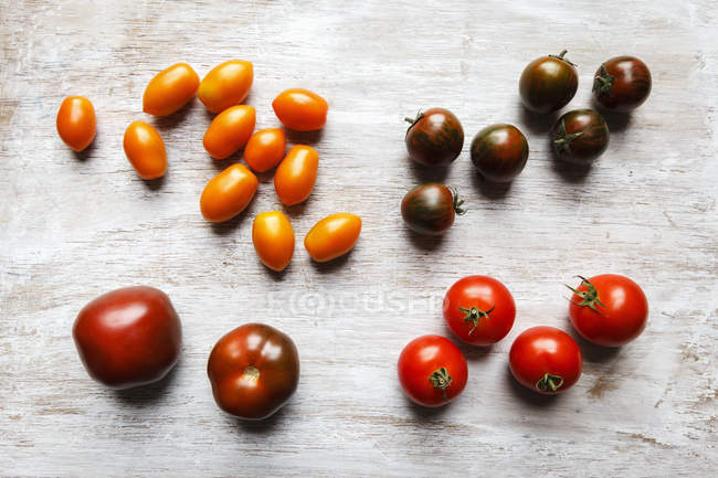 Tomates frescos coloridos - foto de stock