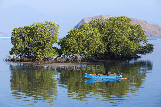 Indonesia, Sumbawa, Kertasari, Mangrovie e pescherecci in mare — Foto stock