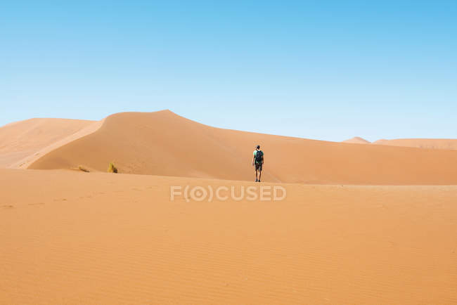 Намібія, Наміб, Sossusvlei, людина пішки через дюни — стокове фото
