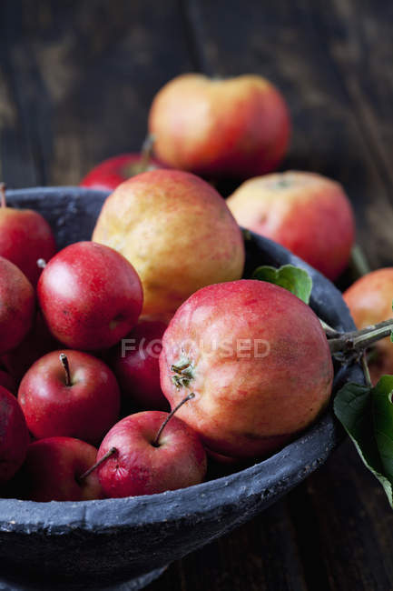 Чаша различных сортов красных яблок — стоковое фото