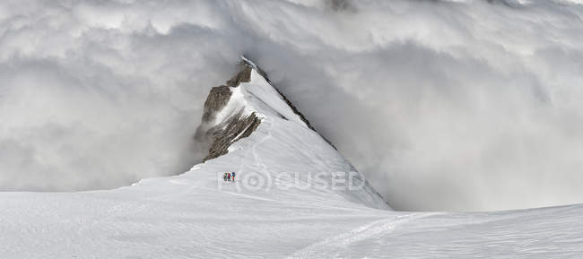 Suisse, Alpes bernoises occidentales, alpinistes dans la région du Balmhorn — Photo de stock