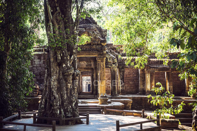 Cambogia, Siem Reap, Angkor Thom Temple durante il giorno — Foto stock
