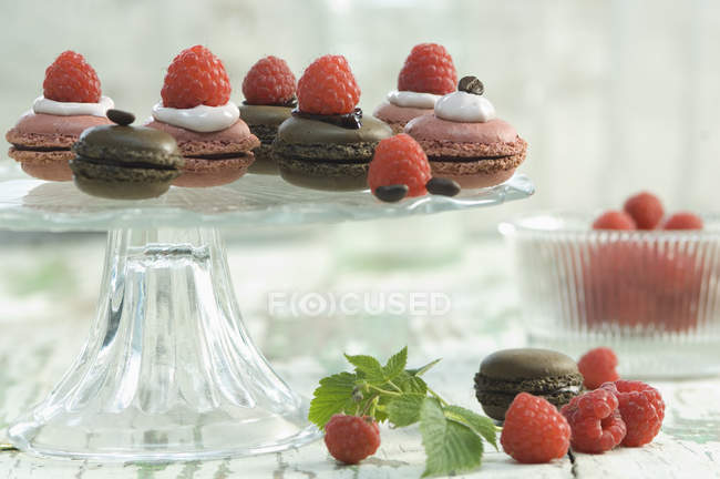 Macarons aux framboises et macarons au chocolat sur un stand de gâteau — Photo de stock