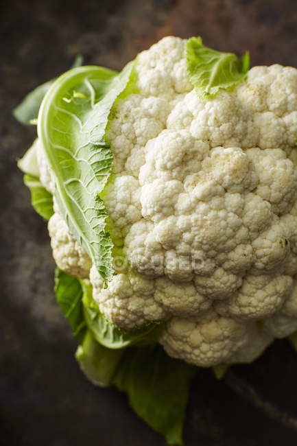 Fresh picked Cauliflower — Stock Photo