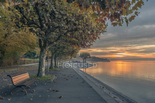 Bench at Lake Constance — Stock Photo