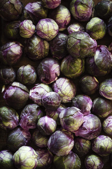 Close-up of Red brussels sprouts in heap — Stock Photo