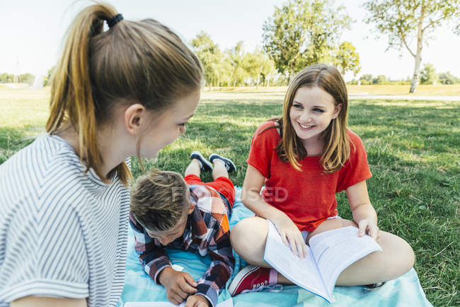 Three teenage friends learning together in meadow — Stock Photo