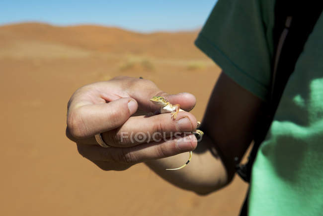 Man holding a lizard with hand — Stock Photo