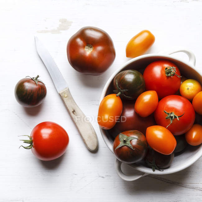 Tomates frescos de colores en maceta - foto de stock