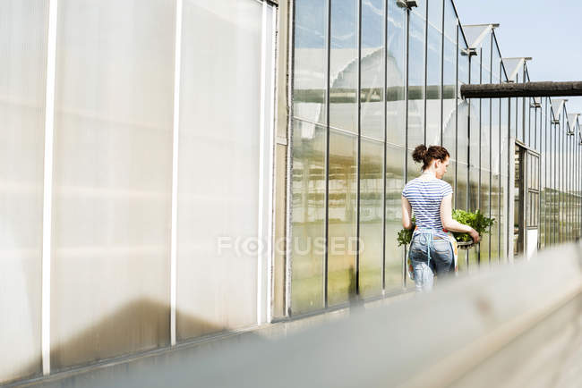 Jeune jardinière travaillant dans une pépinière — Photo de stock