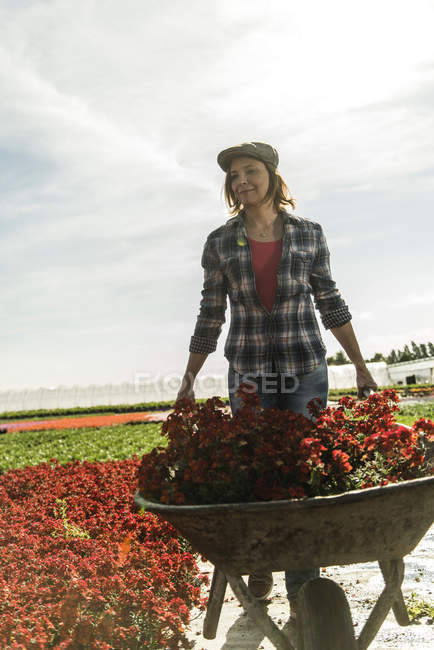 Donna che spinge carriola con fiori — Foto stock