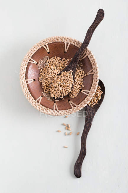 Bowl of spelt seeds with wooden spoons on white background — Stock Photo