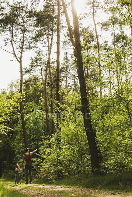 Padre e figlia escursioni nella foresta — Foto stock
