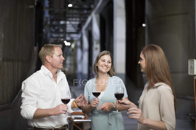 Троє людей дегустують вино в підвалі обговорюють — стокове фото
