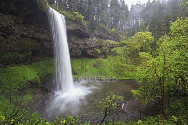 USA, Oregon, Silver Falls State Park, South Falls — Stockfoto