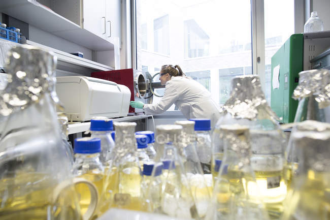 Joven científica trabajando en laboratorio biológico, buscando en autovclave - foto de stock