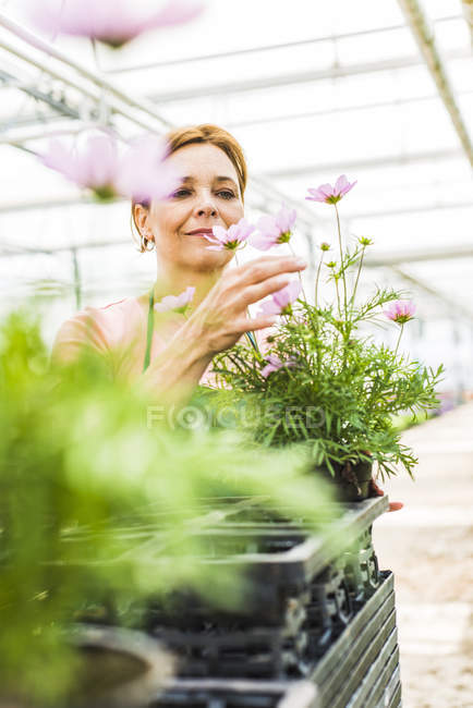 Donna che controlla i fiori — Foto stock