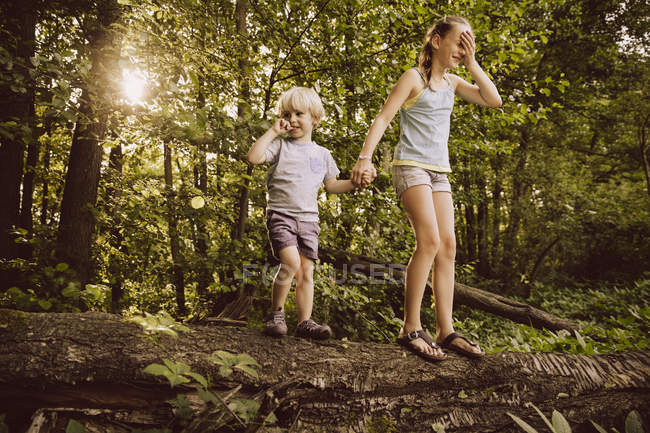 Maedchen Jung Wald Fisten