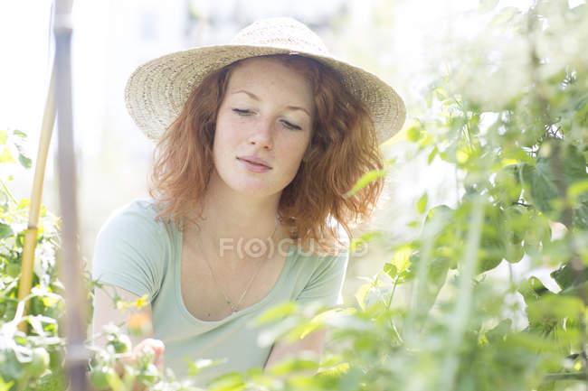 Junge Gärtnerin, Urban Gardening — Stockfoto