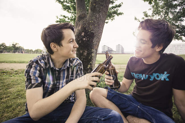 Deutschland, berlin, zwei jugendliche jungen, die unter einem baum sitzen und mit bierflaschen anstoßen — Stockfoto