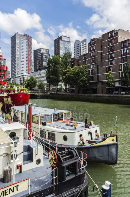 Paesi Bassi, Rotterdam, Wijnhaven con barche ormeggiate sull'acqua — Foto stock