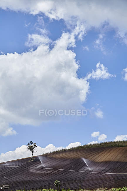 Колумбия, Кундинамарка, Орошение на поле — стоковое фото