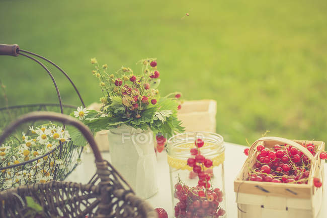 Fleurs de camomille et fraises avec groseilles rouges sur la table de jardin — Photo de stock
