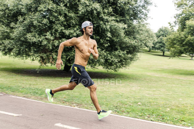 Sporty man jogging in a park stock photo