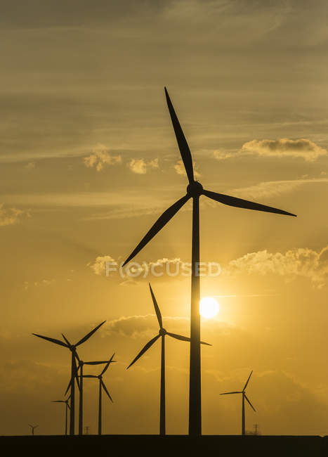 Allemagne, Salzgitter, parc éolien le soir, soleil sur le fond — Photo de stock