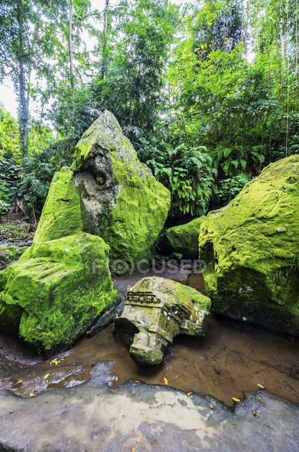 Indonesia, Bali, Ubud, Goa Gajah veduta delle pietre nel muschio — Foto stock