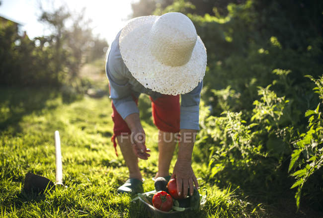 Donna anziana con cappello di paglia che lavora nel suo giardino — Foto stock