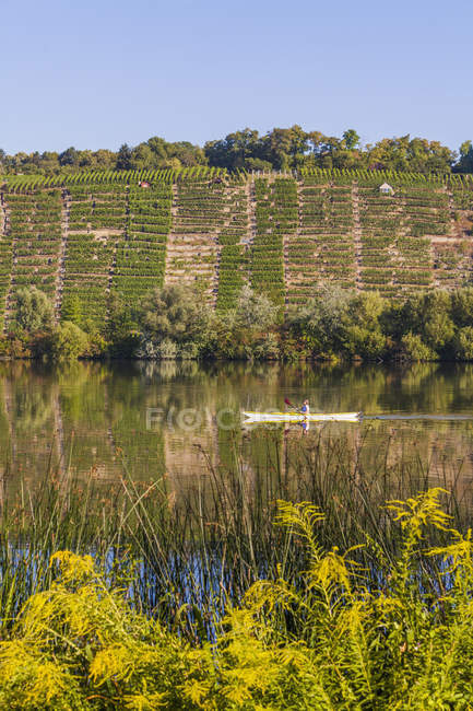 Allemagne, Stuttgart, kayak femme sur Neckar devant les vignes — Photo de stock