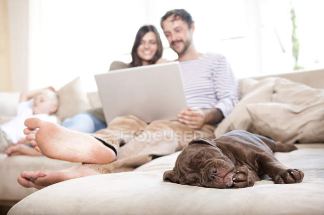 Olde англійською Bulldogge спати на дивані при пара і сином розслаблюючий у фоновому режимі — стокове фото