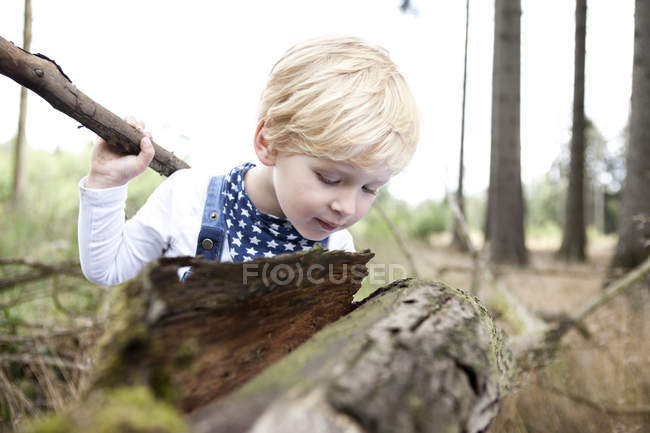 Menino descobrindo a natureza — Fotografia de Stock