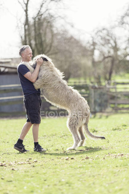 Hombre con su perro lobo irlandés en un prado - foto de stock