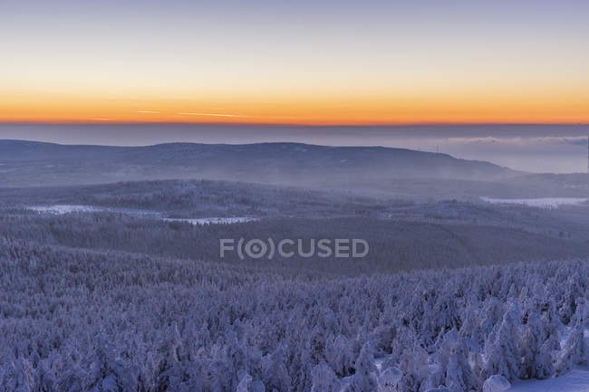 Nadelwald bei Sonnenuntergang, Nationalpark Harz, Sachsen-anhalt, Deutschland — Stockfoto