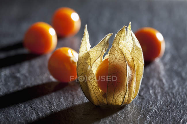 Physalis fresco con fiore secco — Foto stock