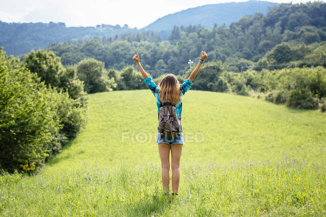 Альто Адидже, вид сзади на девочку-подростка с поднятыми руками, стоящую на лугу — стоковое фото
