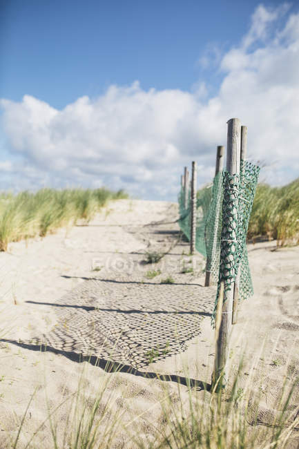 Германия, Западная Померания, Варнемут, пляжная дюна и забор — стоковое фото