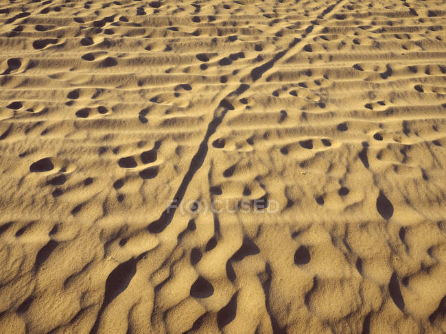 USA, Illinois, Chicago, sabbia con tracce durante il giorno — Foto stock