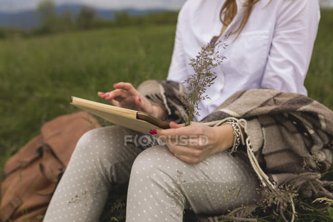 Woman sitting on a meadow using digital tablet holding grasses in one hand, partial view — Stock Photo