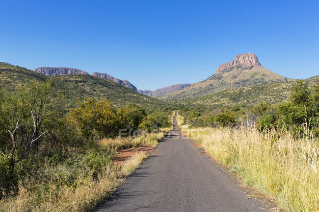 Afrique, Afrique du Sud, Waterberg, route dans le parc national Marakele pendant la journée — Photo de stock
