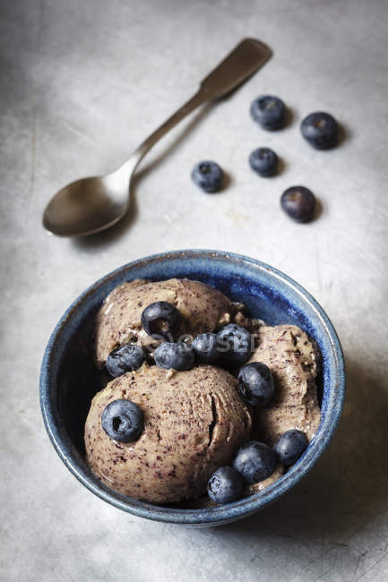 Bowl of vegan blueberry banana ice cream — Stock Photo