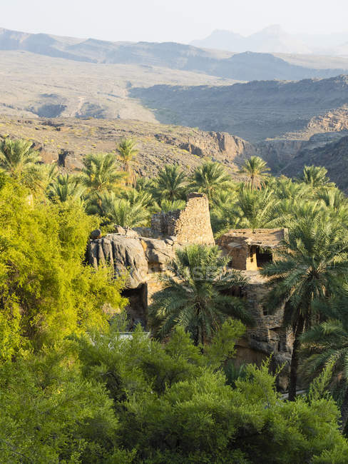 Oman, Wadi Misfah e vista delle palme durante il giorno — Foto stock
